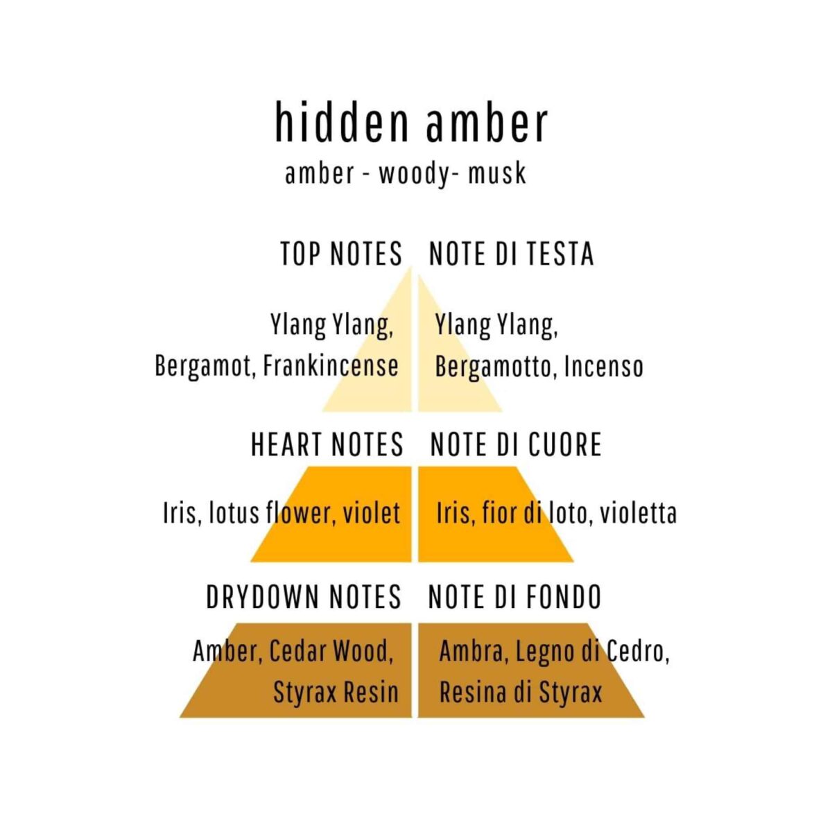 john Richmond Hidden amber note